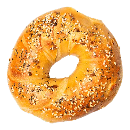 Hand-rolled everything bagel