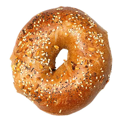 Honey whole wheat everything bagel