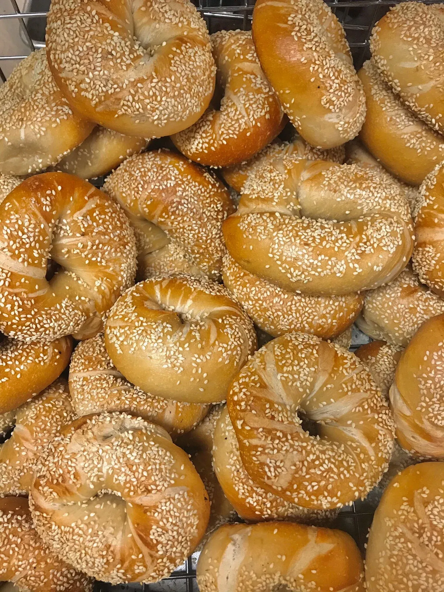Close-up of dozens of sesame bagels piled in a wire basket