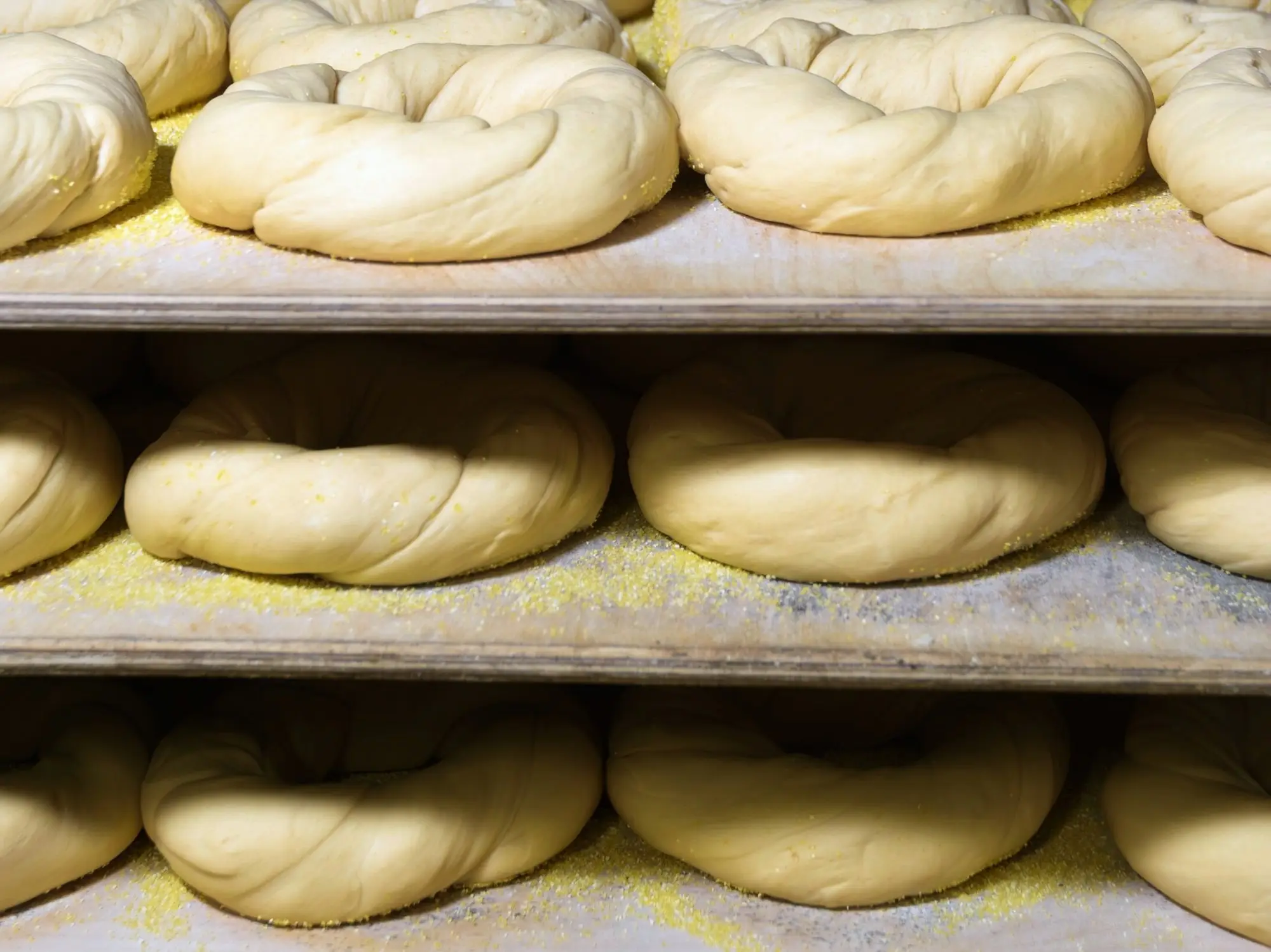 Boards of hand-rolled dough rings resting on racks before they go in the kettle