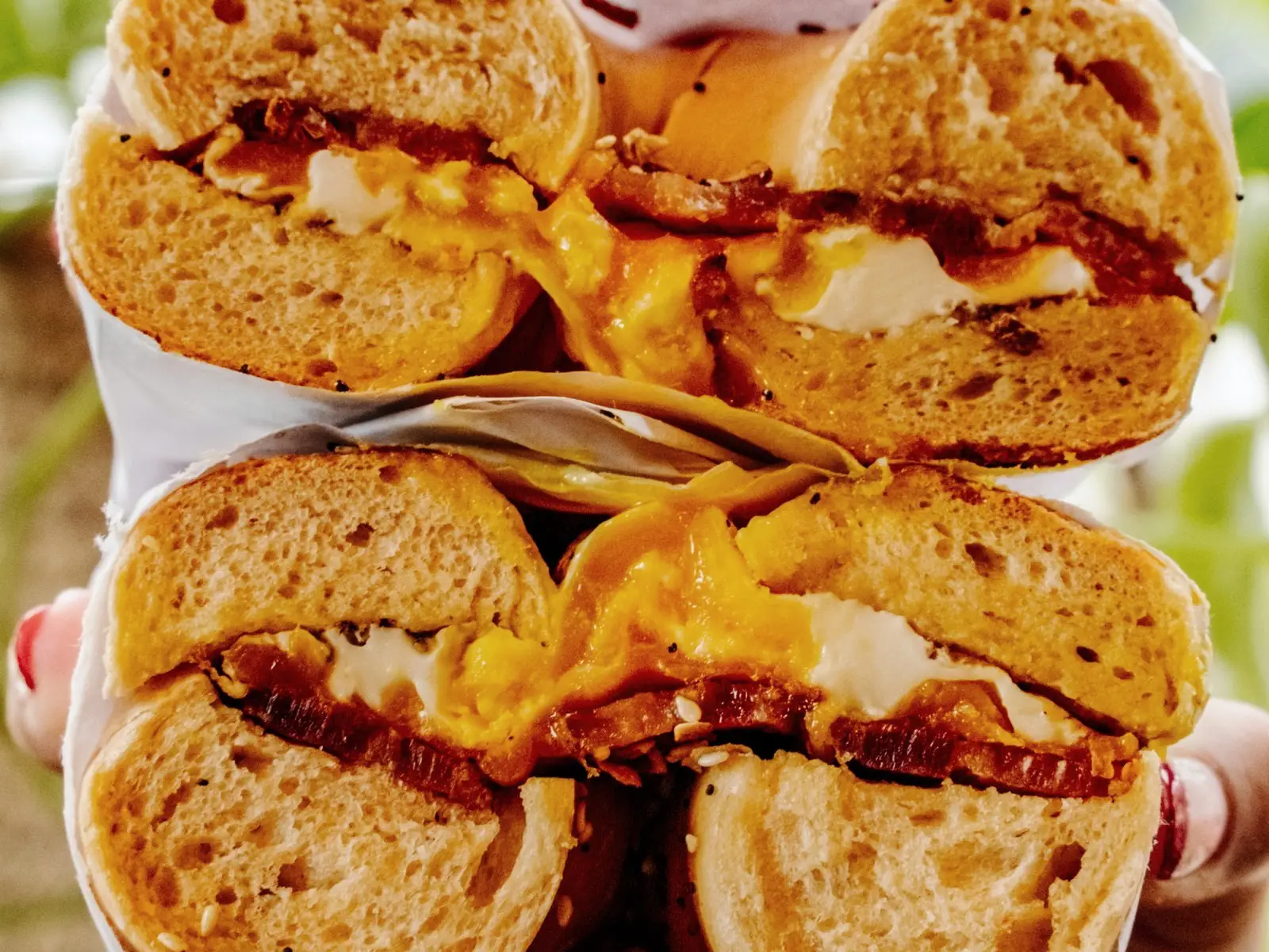Bacon, egg and cheddar bagel sandwich cut in half and stacked, melted cheddar and thick-cut bacon showing
