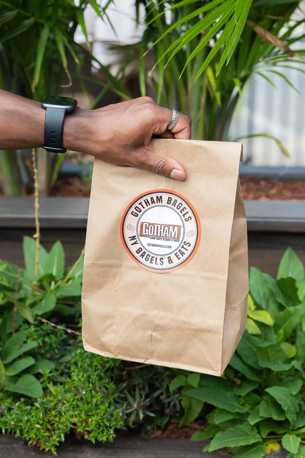 A hand holding a Gotham Bagels carryout bag outdoors among green plants