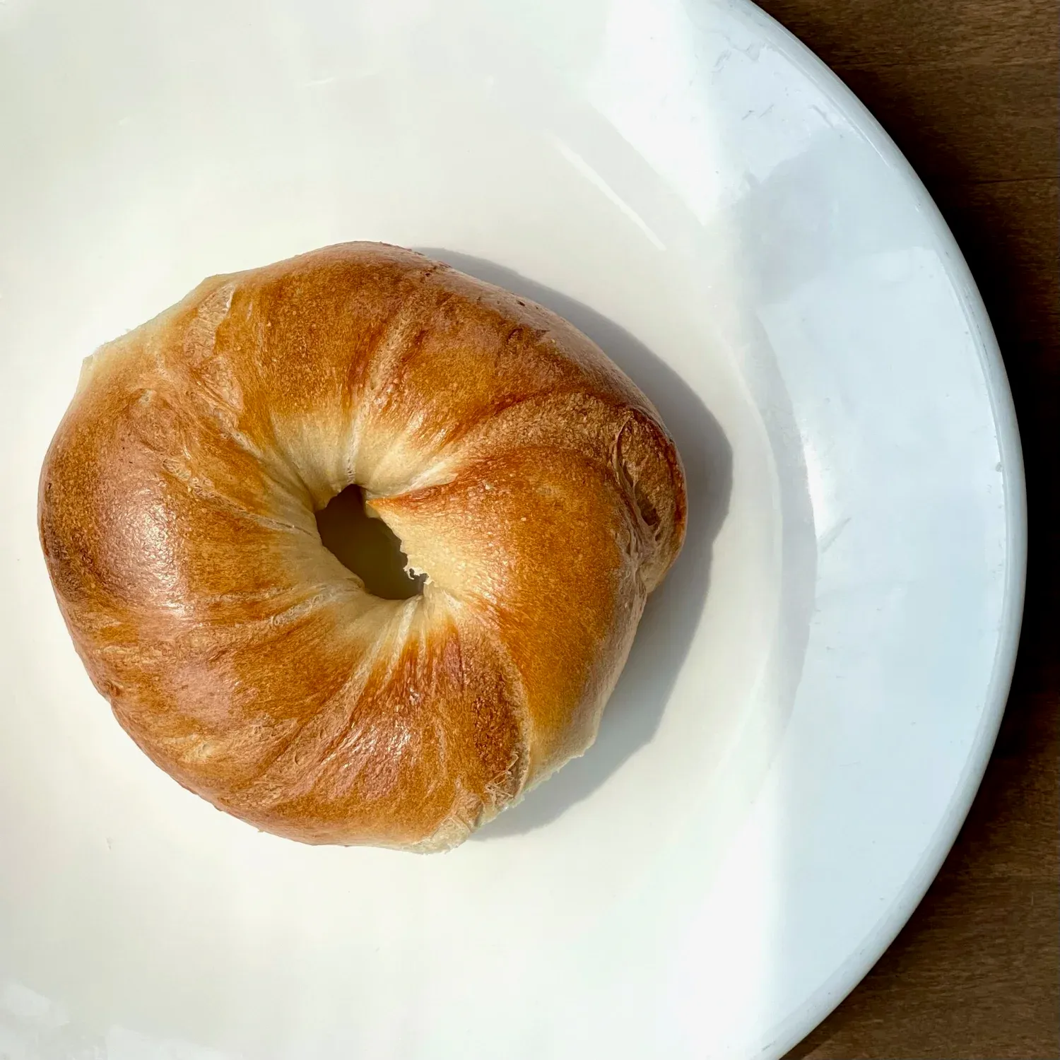 Shiny fresh plain bagel close-up